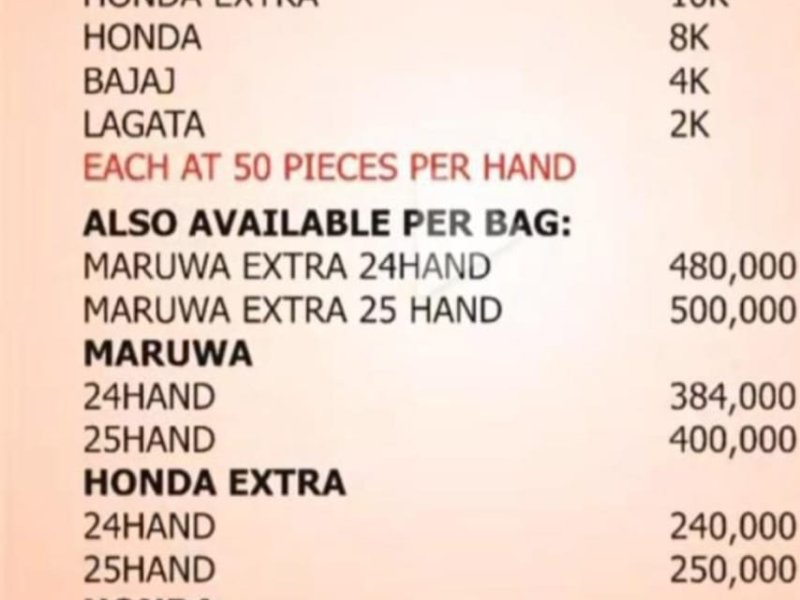 wealthniks-ponmo-ijebu-honda-extra-10k-small-2