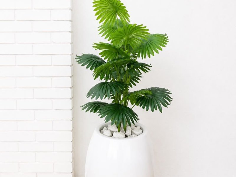 artificial-plants