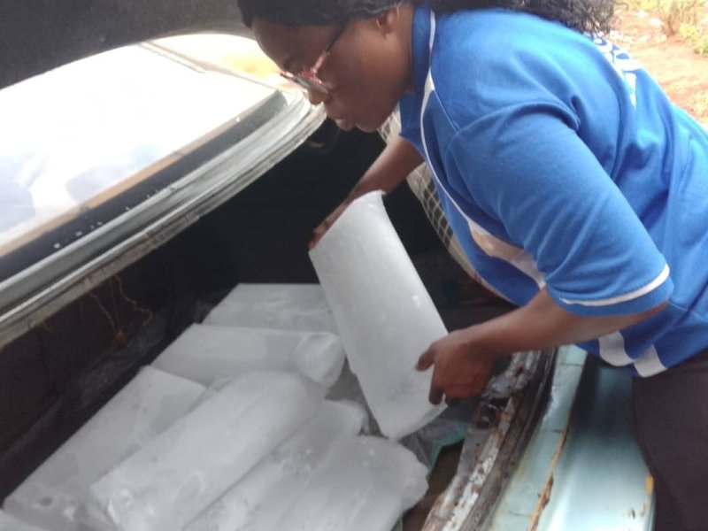 mpp-comfort-and-sons-enterprise-party-ice-and-party-orders