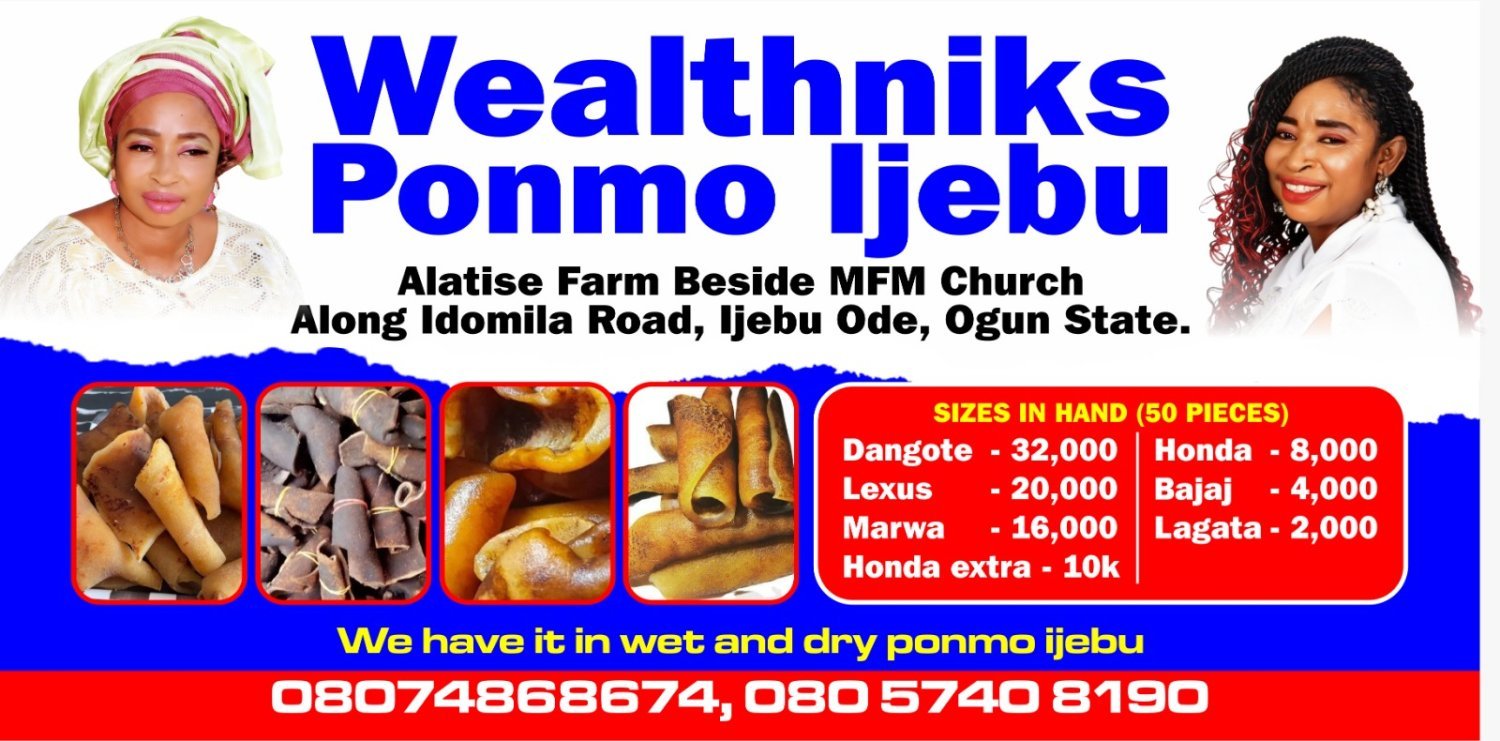 wealthniks-ponmo-ijebu-dangote-32k-big-4